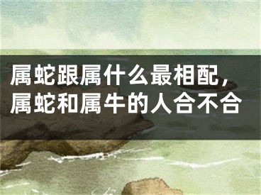 属蛇跟属什么最相配，属蛇和属牛的人合不合
