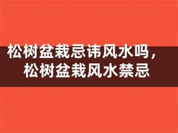 松树盆栽忌讳风水吗,松树盆栽风水禁忌