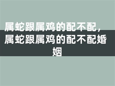 属蛇跟属鸡的配不配，属蛇跟属鸡的配不配婚姻