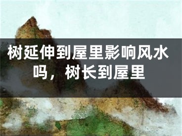 树延伸到屋里影响风水吗，树长到屋里