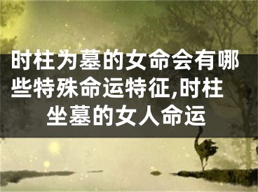 时柱为墓的女命会有哪些特殊命运特征,时柱坐墓的女人命运