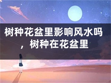树种花盆里影响风水吗，树种在花盆里