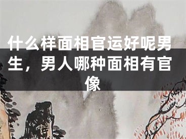 什么样面相官运好呢男生，男人哪种面相有官像