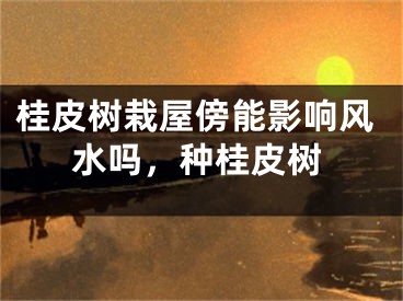 桂皮树栽屋傍能影响风水吗，种桂皮树