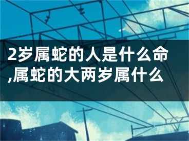 2岁属蛇的人是什么命,属蛇的大两岁属什么