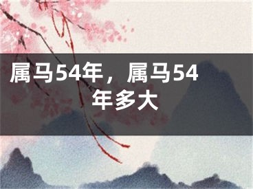 属马54年,属马54年多大