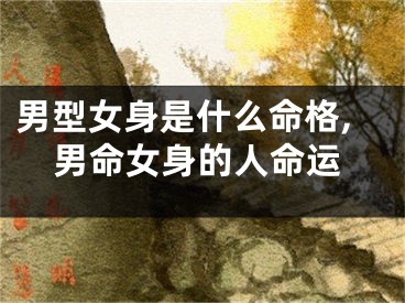 男型女身是什么命格,男命女身的人命运