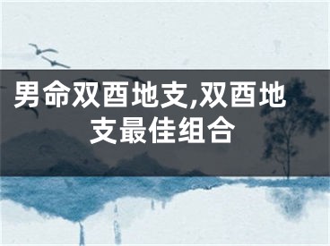 男命双酉地支,双酉地支最佳组合