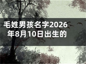 毛姓男孩名字2026年8月10日出生的