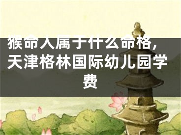 猴命人属于什么命格,天津格林国际幼儿园学费