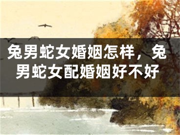 兔男蛇女婚姻怎样，兔男蛇女配婚姻好不好