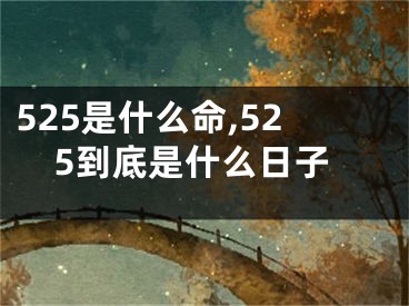 525是什么命,525到底是什么日子