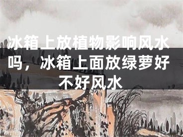 冰箱上放植物影响风水吗,冰箱上面放绿萝好不好风水