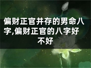 偏财正官并存的男命八字,偏财正官的八字好不好