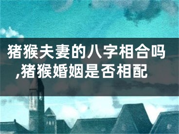 猪猴夫妻的八字相合吗,猪猴婚姻是否相配