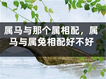 属马与那个属相配，属马与属兔相配好不好