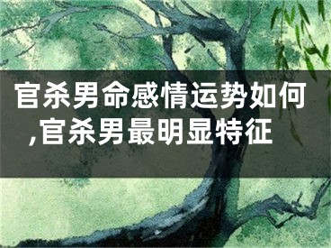 官杀男命感情运势如何,官杀男最明显特征