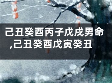 己丑癸酉丙子戊戌男命,己丑癸酉戊寅癸丑