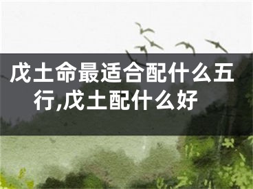 戊土命最适合配什么五行,戊土配什么好