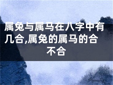 属兔与属马在八字中有几合,属兔的属马的合不合