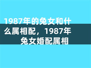 1987年的兔女和什么属相配，1987年兔女婚配属相