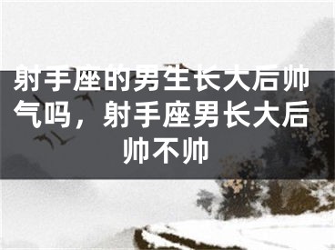射手座的男生长大后帅气吗，射手座男长大后帅不帅