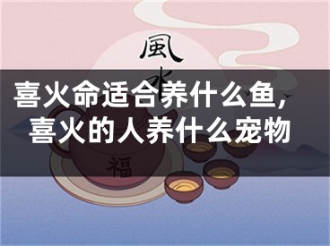 喜火命适合养什么鱼,喜火的人养什么宠物