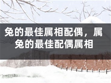 兔的最佳属相配偶,属兔的最佳配偶属相
