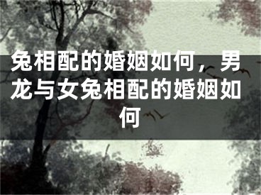兔相配的婚姻如何，男龙与女兔相配的婚姻如何