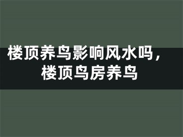 楼顶养鸟影响风水吗，楼顶鸟房养鸟