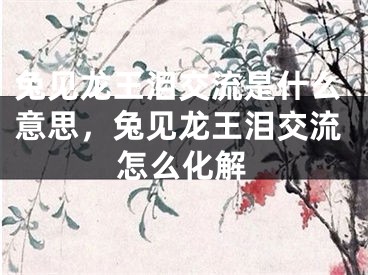 兔见龙王泪交流是什么意思，兔见龙王泪交流怎么化解