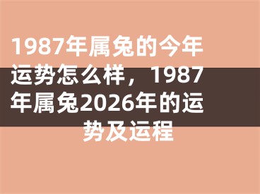 1987年属兔的今年运势怎么样，1987年属兔2026年的运势及运程