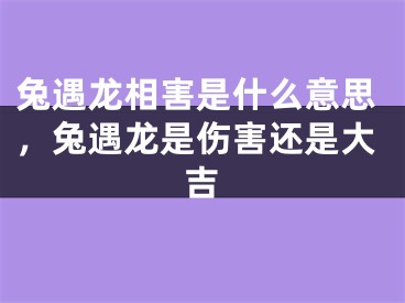 兔遇龙相害是什么意思，兔遇龙是伤害还是大吉