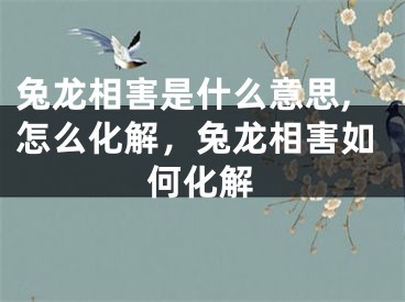 兔龙相害是什么意思,怎么化解，兔龙相害如何化解