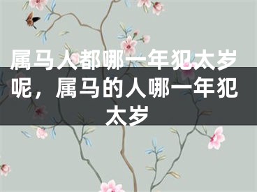 属马人都哪一年犯太岁呢,属马的人哪一年犯太岁