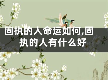 固执的人命运如何,固执的人有什么好