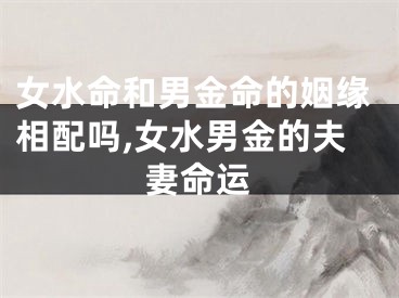 女水命和男金命的姻缘相配吗,女水男金的夫妻命运