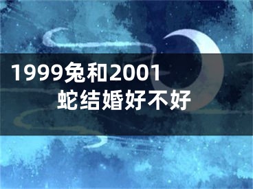 1999兔和2001蛇结婚好不好
