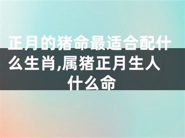 正月的猪命最适合配什么生肖,属猪正月生人什么命