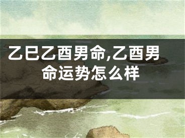 乙巳乙酉男命,乙酉男命运势怎么样