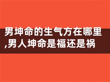 男坤命的生气方在哪里,男人坤命是福还是祸