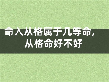 命入从格属于几等命,从格命好不好