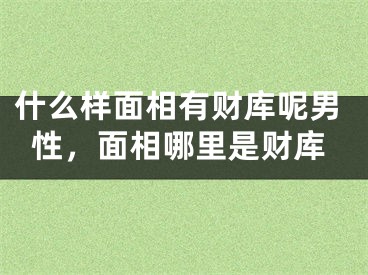 什么样面相有财库呢男性，面相哪里是财库