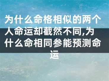 为什么命格相似的两个人命运却截然不同,为什么命相同参能预测命运