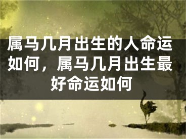 属马几月出生的人命运如何，属马几月出生最好命运如何