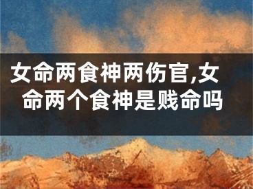 女命两食神两伤官,女命两个食神是贱命吗