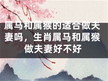 属马和属猴的适合做夫妻吗，生肖属马和属猴做夫妻好不好