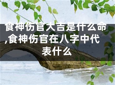 食神伤官大吉是什么命,食神伤官在八字中代表什么
