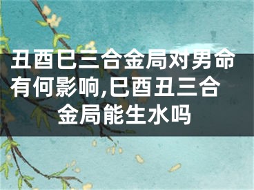 丑酉巳三合金局对男命有何影响,巳酉丑三合金局能生水吗