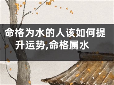 命格为水的人该如何提升运势,命格属水